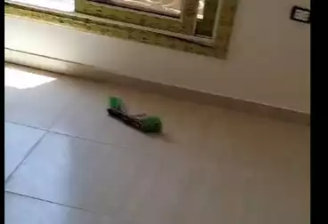 Apartments For rent - 3 rooms - floor 4