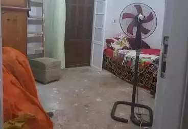 undefined undefined - 3 rooms - floor 1