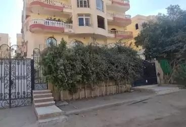 فلل للإيجار - 6 غرف