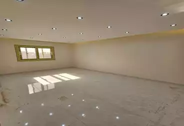 Corporate Branch For rent - 4 rooms - floor 5