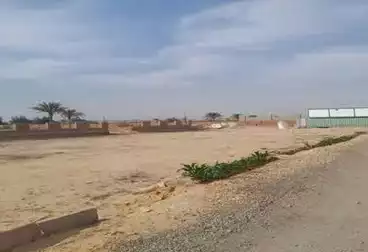 أراضي للبيع