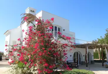 Separate Villa For sale - 4 rooms