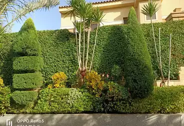 Twin House For rent - 5 rooms