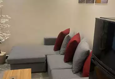 Apartments For rent - 1 rooms - floor 3