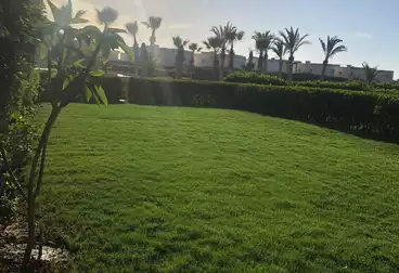 Twin House For rent - 4 rooms