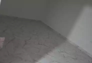 Apartments For rent - 2 rooms - floor 6