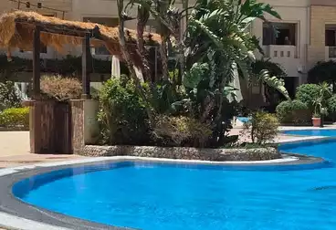 ستوديو للبيع - 1 غرف - بالدور 1