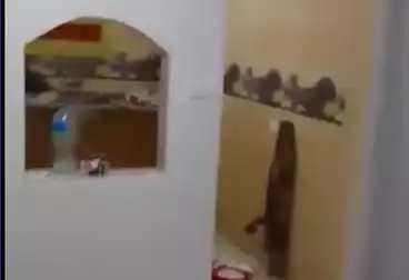 Apartments For sale - 2 rooms - floor 4