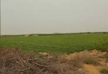 أرض زراعية للبيع