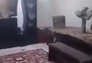 Apartments For sale - 2 rooms - floor 3