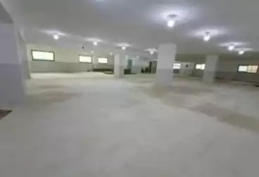 مصنع للإيجار