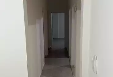 Apartments For rent - 3 rooms - floor 1