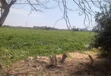 Farm For sale