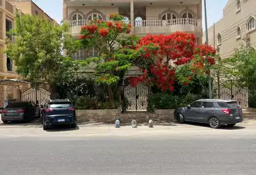 شقق للإيجار - 3 غرف - بالدور 2