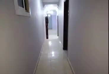 Apartments For rent - 3 rooms - floor 1