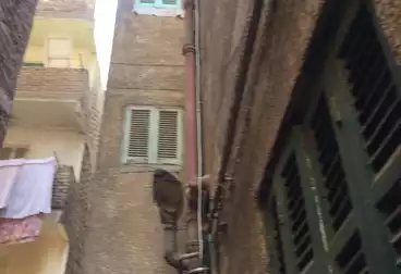 House / Home For sale - 3 rooms
