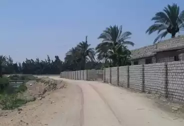 أرض زراعية للبيع