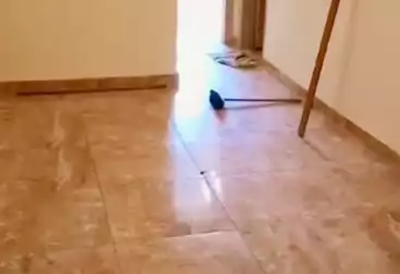 Apartments For sale - 3 rooms - floor 1
