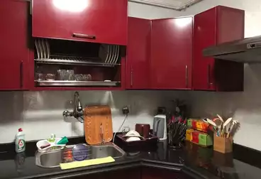Apartments For rent - 3 rooms - floor 7