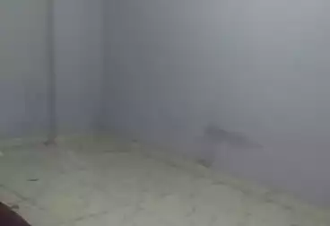 undefined undefined - 2 rooms - floor 0