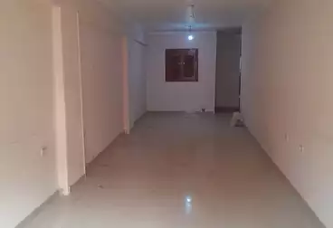 Apartments For rent - 3 rooms - floor 5