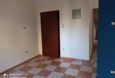 Apartments For rent - 2 rooms - floor 4