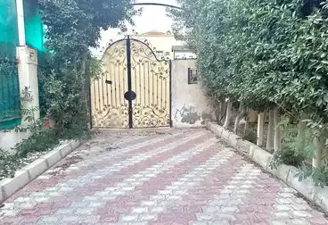 Villas For rent - 4 rooms