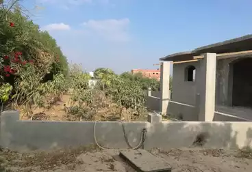 Farm For sale