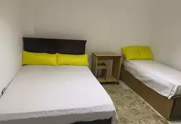 Apartments For rent - 2 rooms - floor 11
