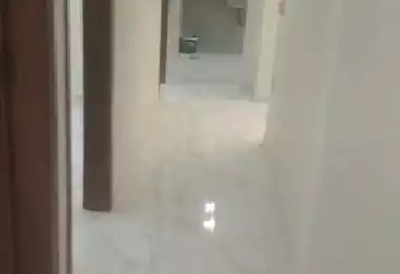 Apartments For rent - 3 rooms - floor 6