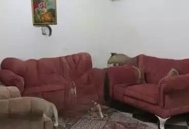 شقق مفروشة للإيجار - 2 غرف - بالدور 1