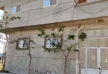 منزل / بيت للبيع - 2 غرف