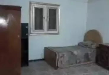 Properties For rent - 3 rooms - floor 5
