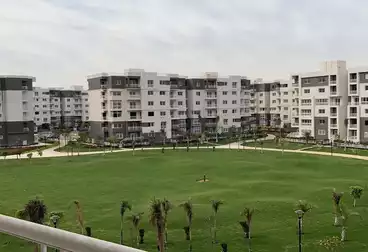 Apartments For rent - 4 rooms - floor 3