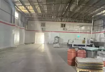 مصنع للإيجار