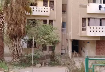 شقق للبيع - 2 غرف - بالدور 0