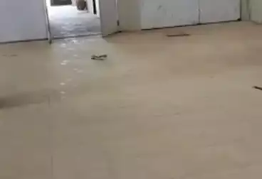 Commercial For sale