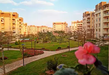 شقق للبيع - 3 غرف - بالدور 1