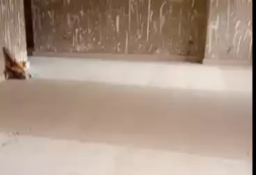 Apartments For sale - 3 rooms - floor 6