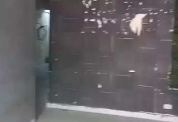 Shops For rent - floor 0
