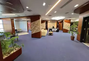 Full Floor Administrative For rent - 12 rooms - floor 2