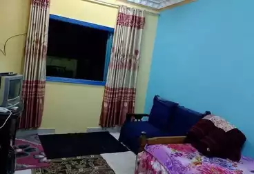 شقق مفروشة للإيجار - 1 غرف - بالدور 0