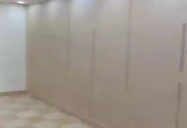 عقارات للإيجار - 3 غرف - بالدور 11