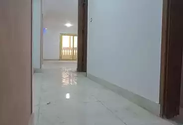 Properties For rent - 3 rooms - floor 1