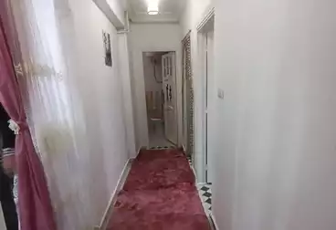 شقق للإيجار - 2 غرف - بالدور 1