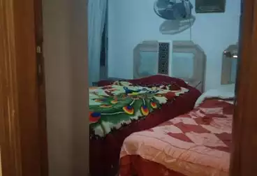شقق للبيع - 3 غرف - بالدور 7