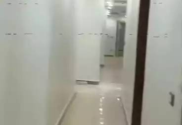 undefined undefined - 3 rooms - floor 11