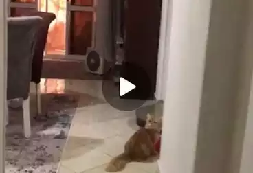 عقارات للبيع - 2 غرف - بالدور 5