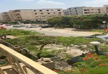 شقق للبيع - 3 غرف - بالدور 1