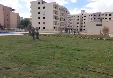 Apartments For sale - 3 rooms - floor 1